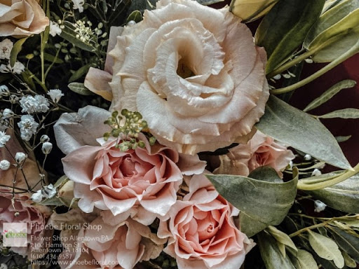 Florist «Phoebe Floral Shop», reviews and photos, 2102 Hamilton St, Allentown, PA 18104, USA