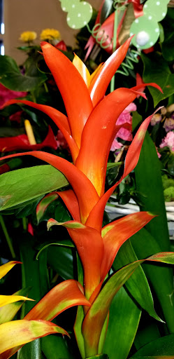 Grocery Store «Safeway», reviews and photos, 406 N Main St, Sebastopol, CA 95472, USA