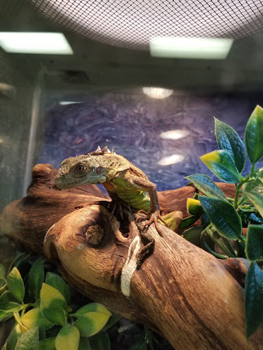 Pet Store «Pet World Warehouse Outlet», reviews and photos, 2148 W Beltline Hwy, Madison, WI 53713, USA