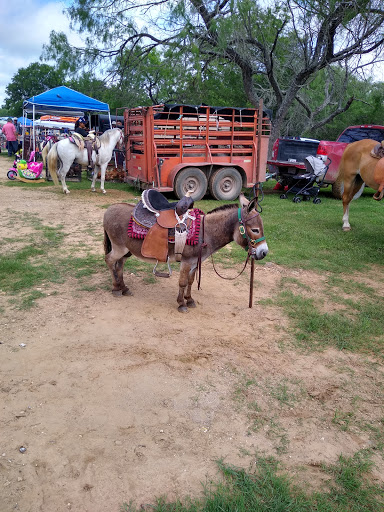 Flea Market «Las Esperanza Flea Market», reviews and photos, 18820 Pleasanton Rd, San Antonio, TX 78221, USA