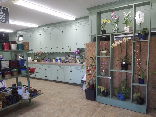 Florist «Little Brook Orchids», reviews and photos, 25 Rider Ave, Lancaster, PA 17603, USA