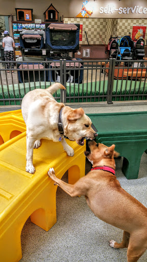 Pet Supply Store «Pet Food Express», reviews and photos, 9153 W Olympic Blvd, Beverly Hills, CA 90212, USA