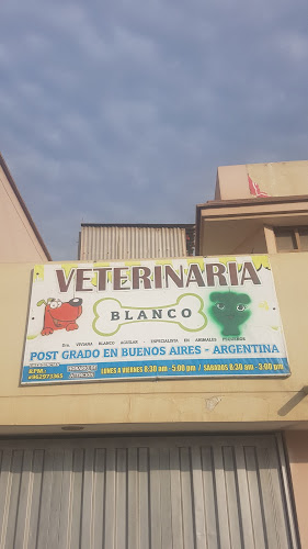 Opiniones de VETERINARIA "BLANCO" en Lambayeque - Veterinario
