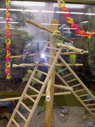 Pet Supply Store «Petco Animal Supplies», reviews and photos, 3835 Phoenix Ave, Fort Smith, AR 72903, USA