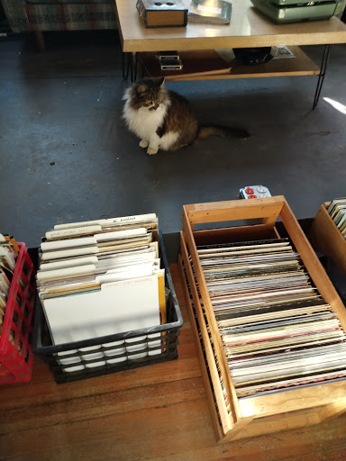 Record Store «Irvington Vinyl», reviews and photos, 9 Johnson Ave, Indianapolis, IN 46219, USA