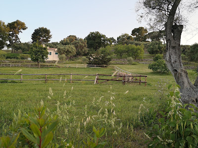 Atrium Paysage à Antibes