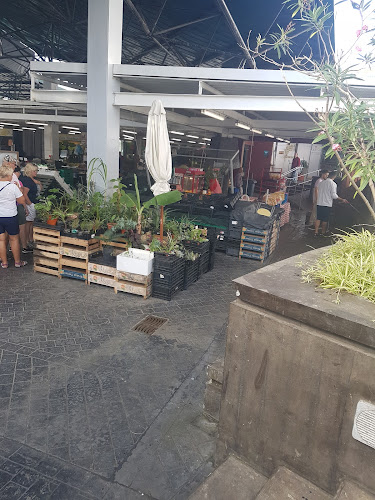 Avaliações doParking - Mercado da Graça em Ponta Delgada - Estacionamento