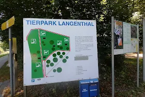 Langenthal Zoo image