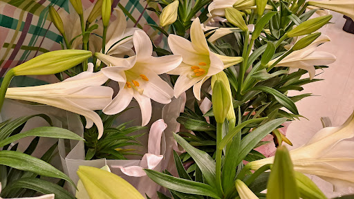 Grocery Store «Safeway», reviews and photos, 7301 Greenback Ln, Citrus Heights, CA 95621, USA