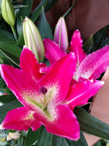 Donut Shop «Donut Stoppe», reviews and photos, 21461 Brookhurst St, Huntington Beach, CA 92646, USA