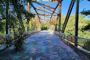 Suwannee Springs Bridge image
