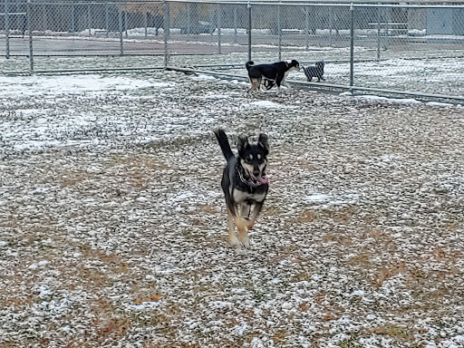 Park «Roosevelt Park», reviews and photos, 7644 4th Ave S, Richfield, MN 55423, USA