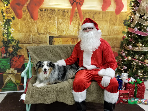 Pet Supply Store «PetSmart», reviews and photos, 11331 Causeway Blvd, Brandon, FL 33511, USA