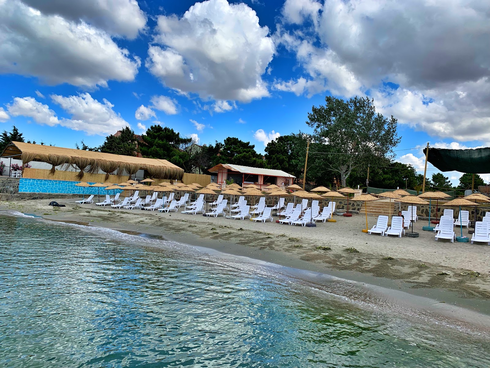 Φωτογραφία του Ataturk Parki beach με επίπεδο καθαριότητας εν μέρει καθαρό