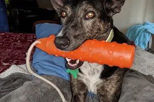 Sully's Dog Training image