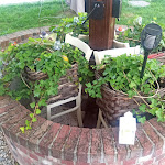 Photo n°5 de l'avis de Raffaella.o fait le 02/08/2022 à 18:51 sur le  Ristorantino Redibis à Carrù