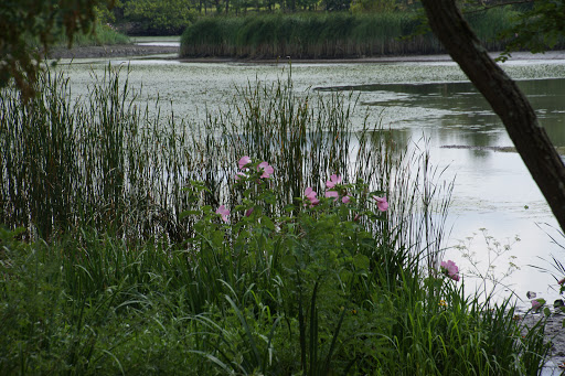 History Museum «West Point Foundry Preserve», reviews and photos, 80 Kemble Ave, Cold Spring, NY 10516, USA