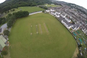 Briton Ferry Town Cricket Club image