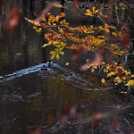 Photo n°13 de l'avis de Yanjun.a fait le 21/06/2018 à 14:18 sur le  Château de Boitzenburg à Boitzenburger Land