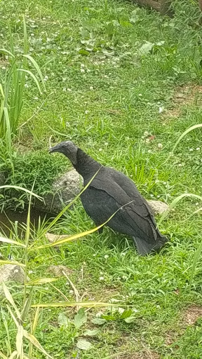 Recreation Center «Go Ape Zip Line & Treetop Adventure - Lums Pond State Park», reviews and photos, 1042 Howell School Rd, Bear, DE 19701, USA