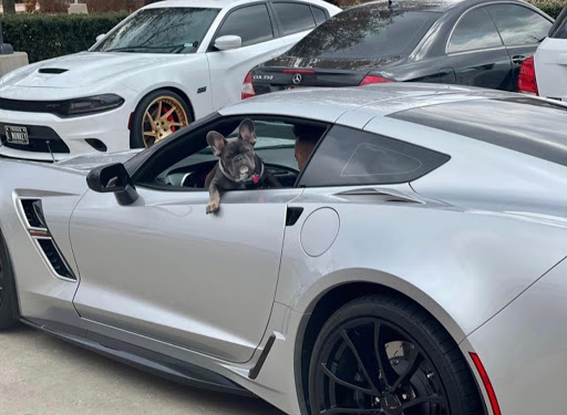 Pet Supply Store «Petco Animal Supplies», reviews and photos, 8700 Preston Rd #105, Plano, TX 75024, USA