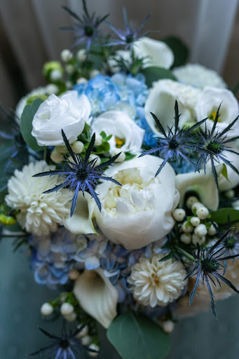 Florist «Brattle Square Florist», reviews and photos, 31 Brattle St, Cambridge, MA 02138, USA