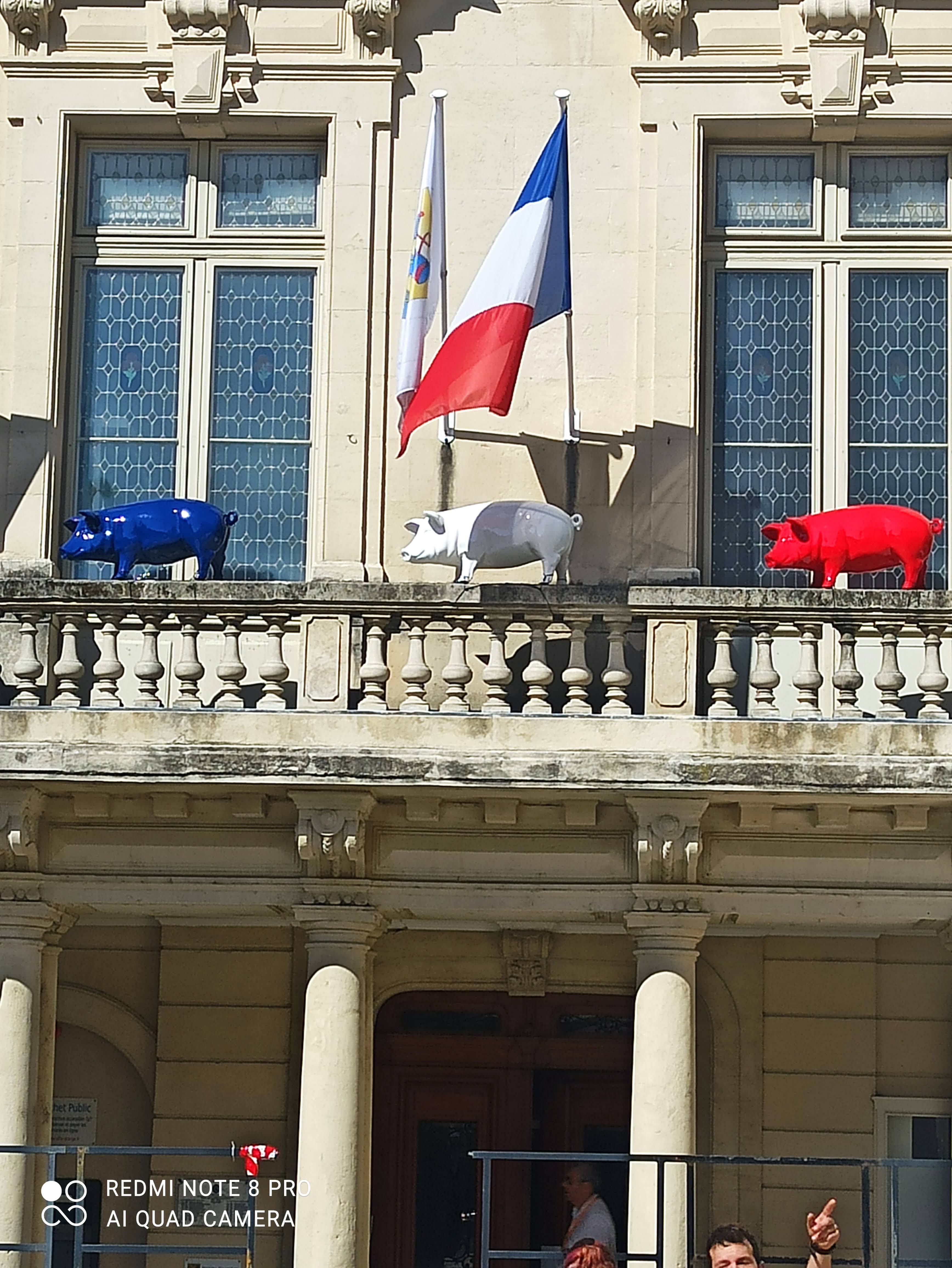 Photo n° 1 de l'avis de Sète.n fait le 26/06/2023 à 13:03