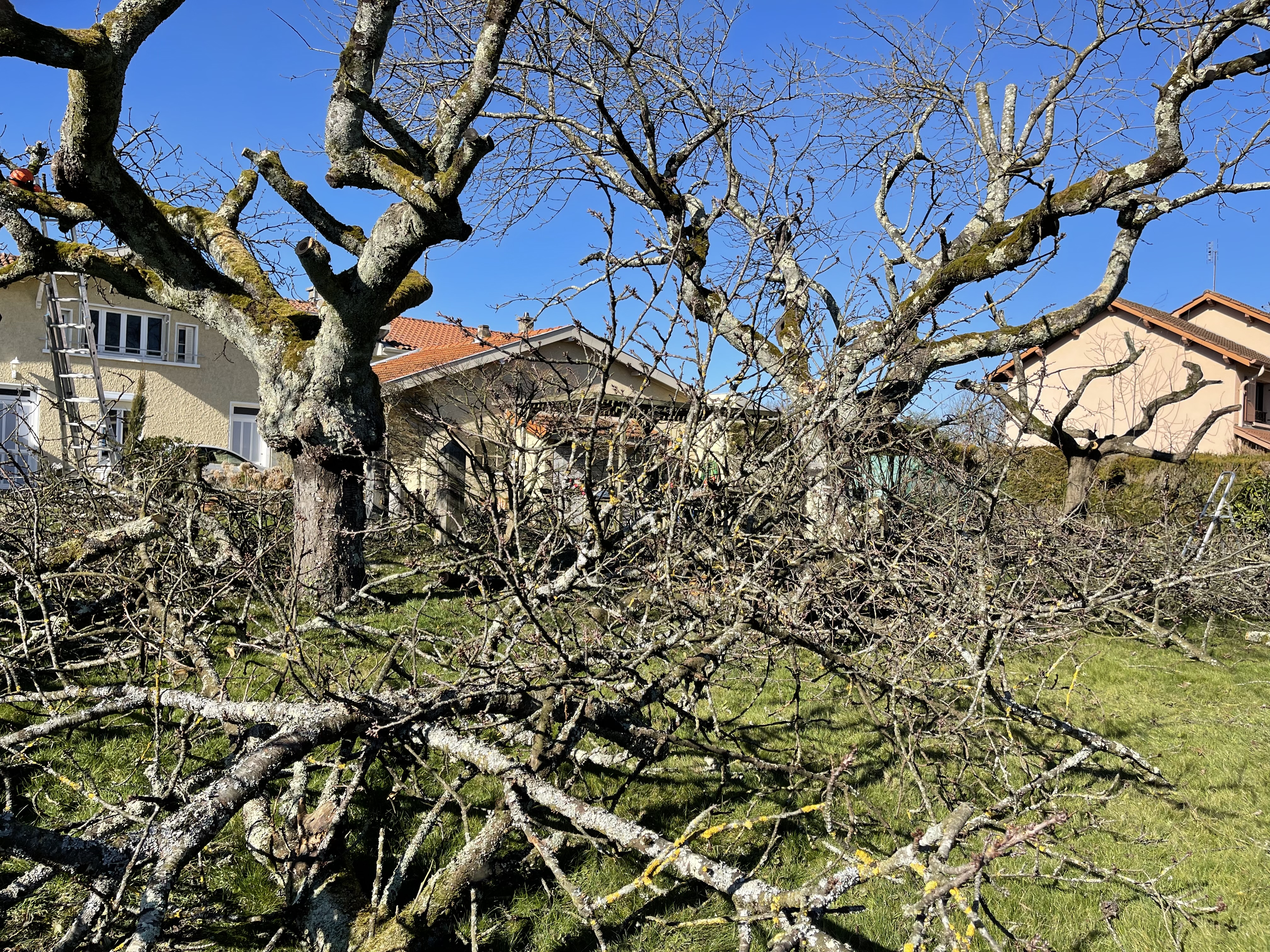 Photo n° 2 de l'avis de Josette.o fait le 09/02/2022 à 17:58