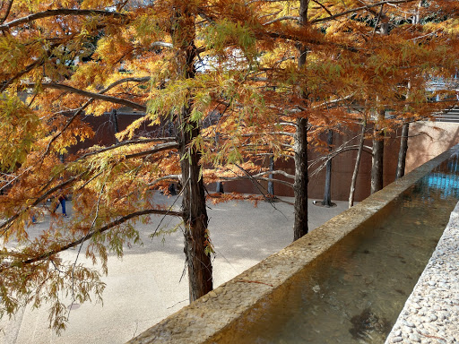 Park «Fort Worth Water Gardens», reviews and photos, 1502 Commerce St, Fort Worth, TX 76102, USA