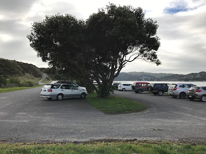 Kaitawa Point Whitireia Park