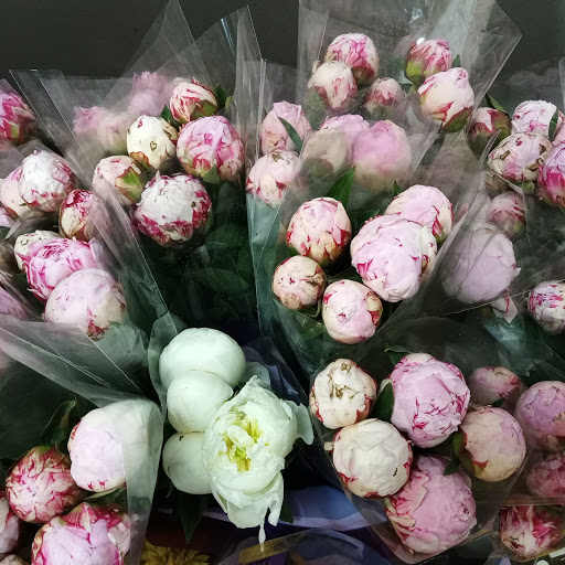 Florist «The Flower Place», reviews and photos, 860 NE 79th St, Miami, FL 33138, USA