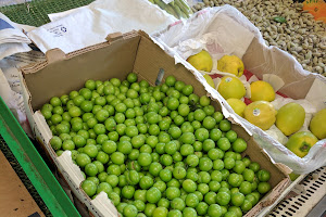 Cedar Market