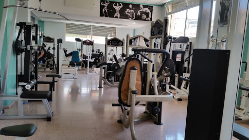 Gimnasio raicar en Elda, Alicante