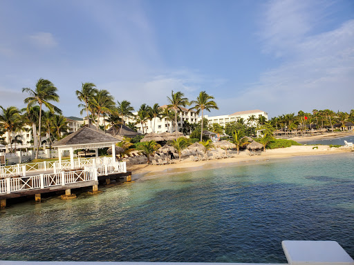 Grocery Store «Foodtown of New Rochelle», reviews and photos, 430 Pelham Rd, New Rochelle, NY 10805, USA