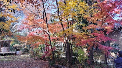 中央園芸