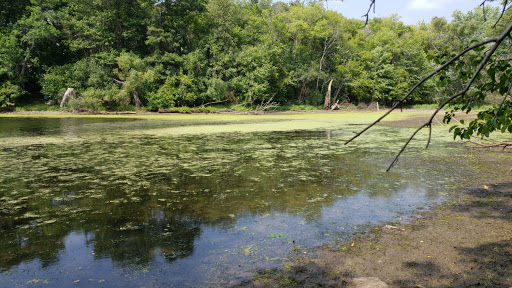 Park «Kargel Park», reviews and photos, 9301 Tamarack Rd, Woodbury, MN 55125, USA