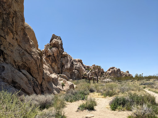 Mojave Guides - Joshua Tree Rock Climbing Guides image