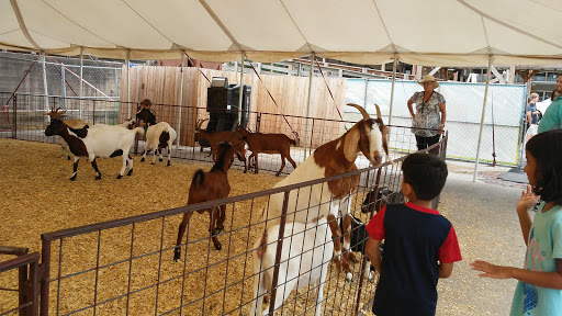 Tourist Attraction «Stockyards Championship Rodeo», reviews and photos, 121 E Exchange Ave, Fort Worth, TX 76164, USA