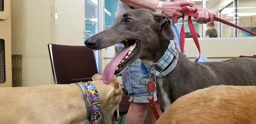 Pet Supply Store «Petco Animal Supplies», reviews and photos, 20980 Westgate Mall, Fairview Park, OH 44126, USA