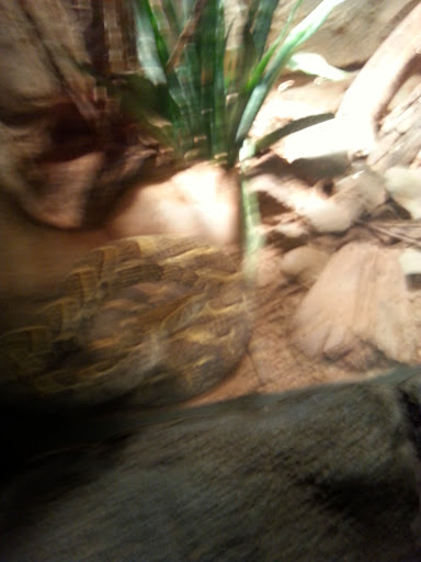 Amusement Park «Fun-Plex», reviews and photos, 7003 Q St, Omaha, NE 68117, USA