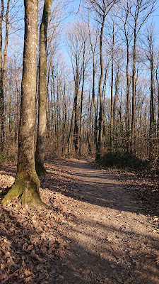 Bois de l'Huisserie à Laval