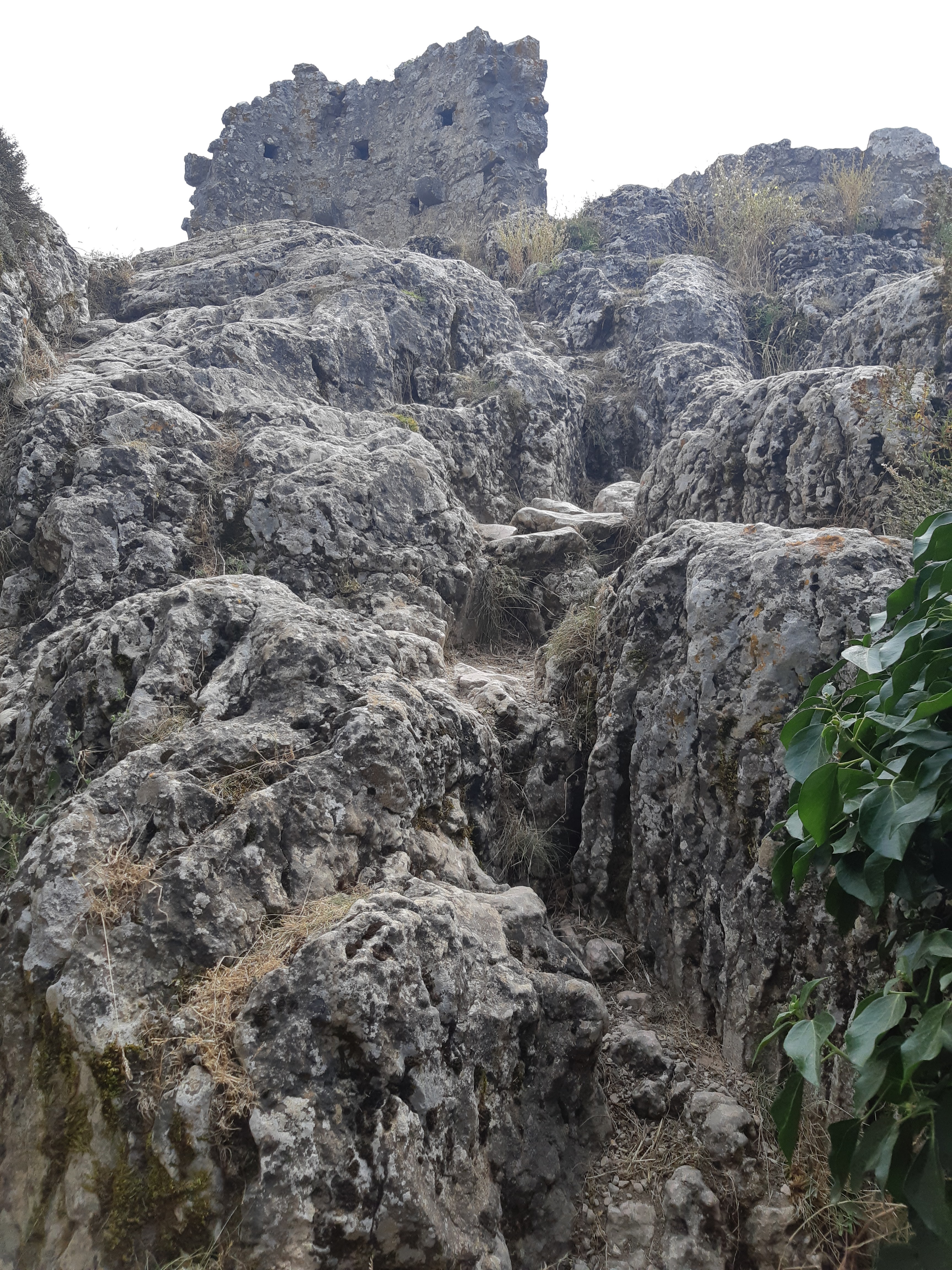 Photo n° 8 de l'avis de Sil.i fait le 12/08/2021 à 13:04