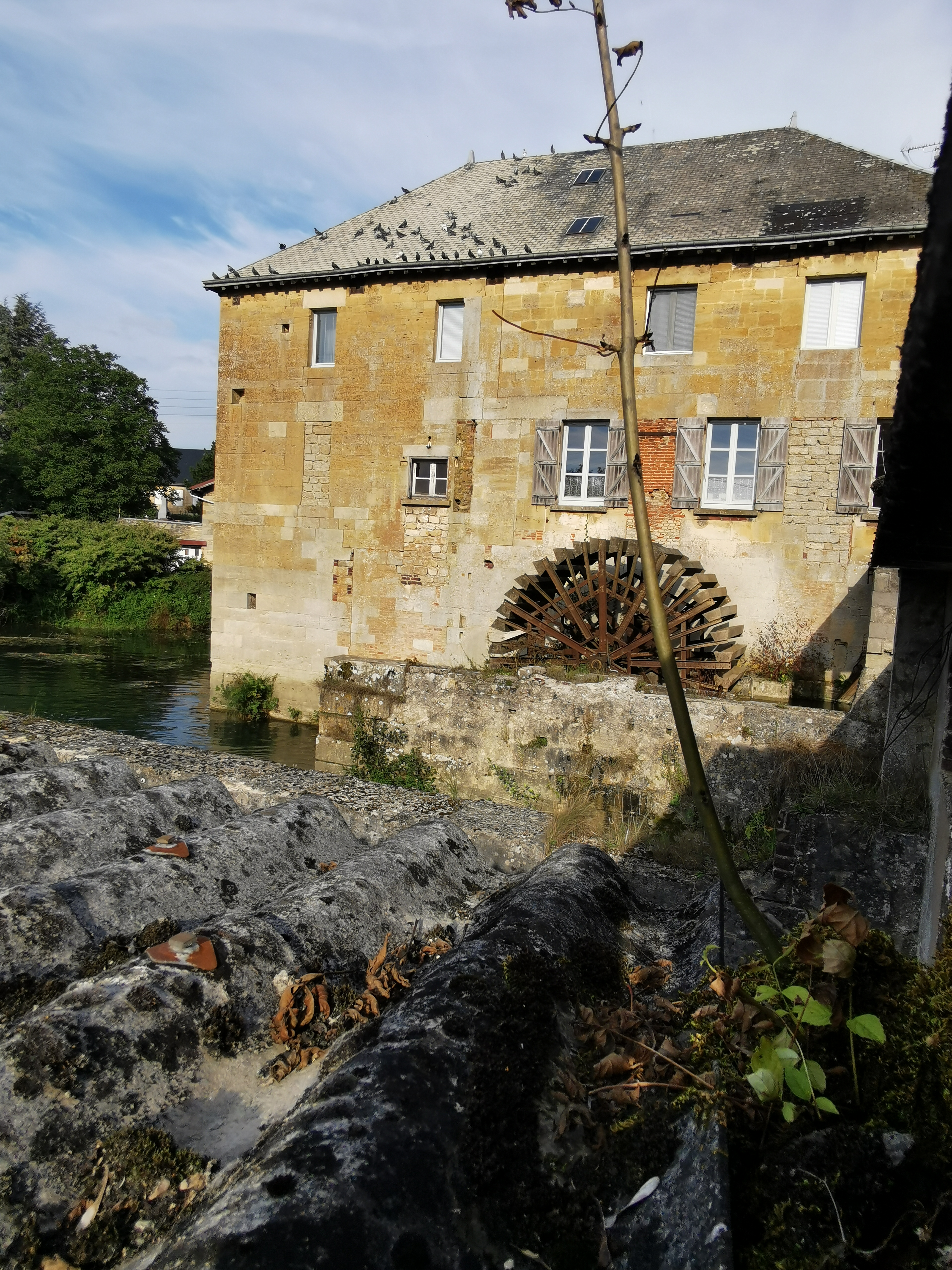 Photo n° 2 de l'avis de Phidis.a fait le 10/07/2019 à 10:30