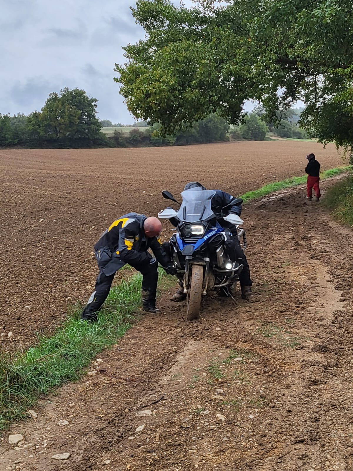 Photo n° 2 de l'avis de Bru.e fait le 27/09/2022 à 20:52