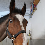 Photo n°2 de l'avis de Alany.e fait le 28/08/2023 à 18:32 sur le  Restaurant à Wolkenstein in Gröden