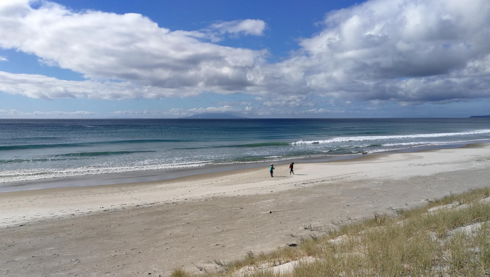 Photo de Forestry Beach - endroit populaire parmi les connaisseurs de la détente