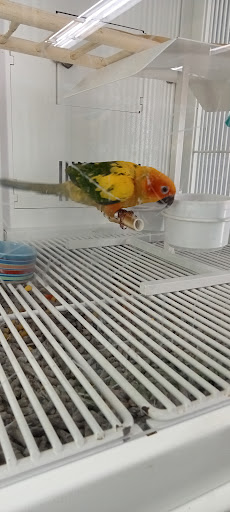 Pet Supply Store «Petco Animal Supplies», reviews and photos, 474 228th Ave NE, Sammamish, WA 98074, USA