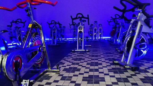 Top Forma - Academia