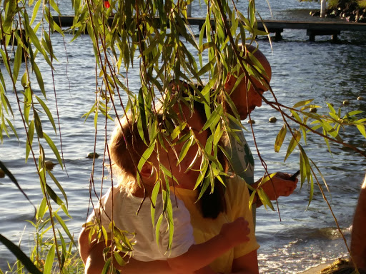 Park «Chism Beach Park», reviews and photos, 9600 SE 11th St, Bellevue, WA 98004, USA