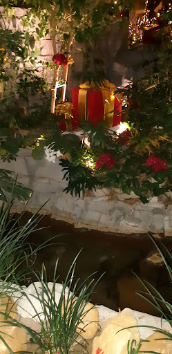 Garden «Mystic Falls Park», reviews and photos, 5111 Boulder Hwy, Las Vegas, NV 89122, USA